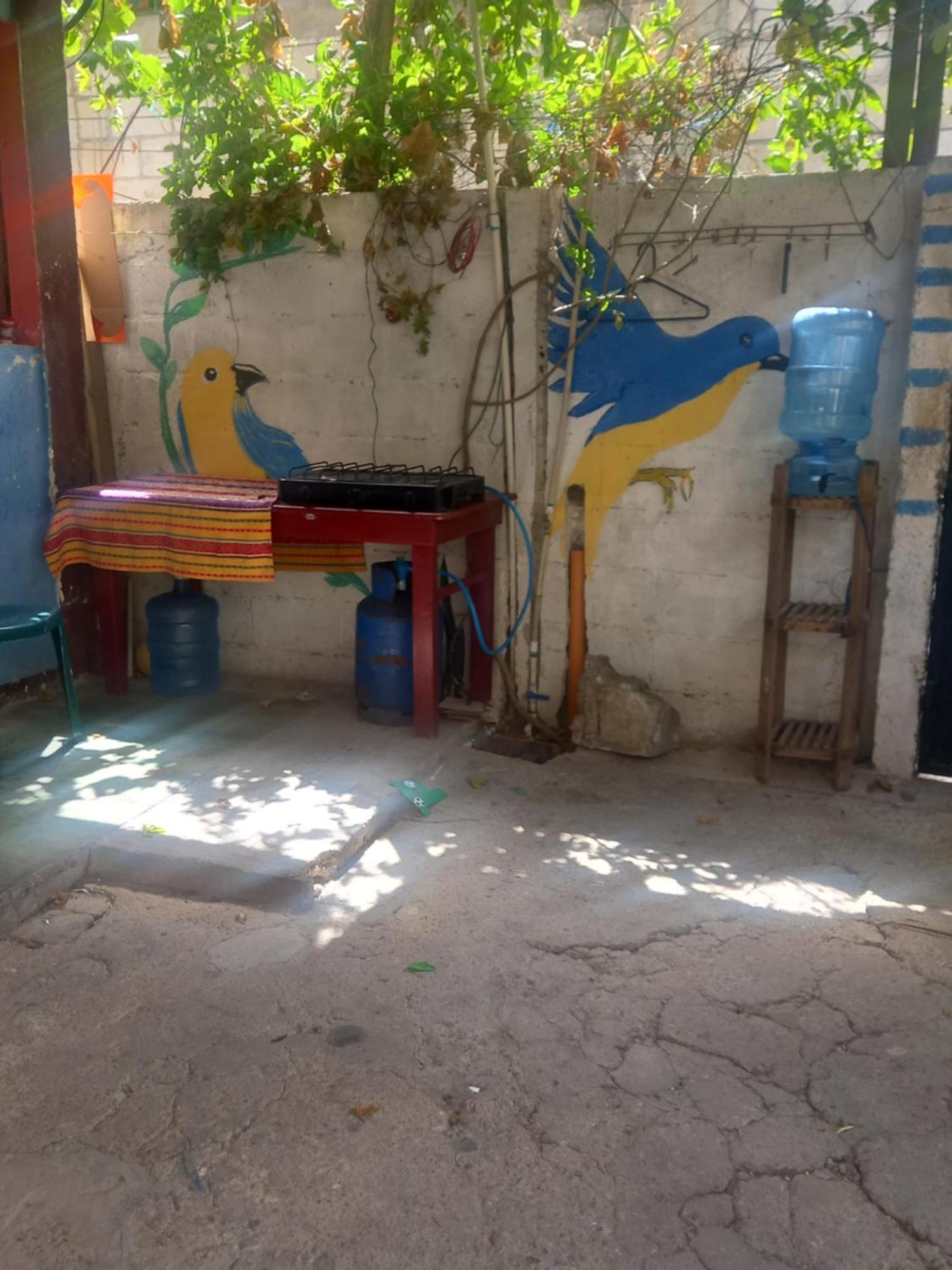 House Zope Daire Panajachel Dış mekan fotoğraf